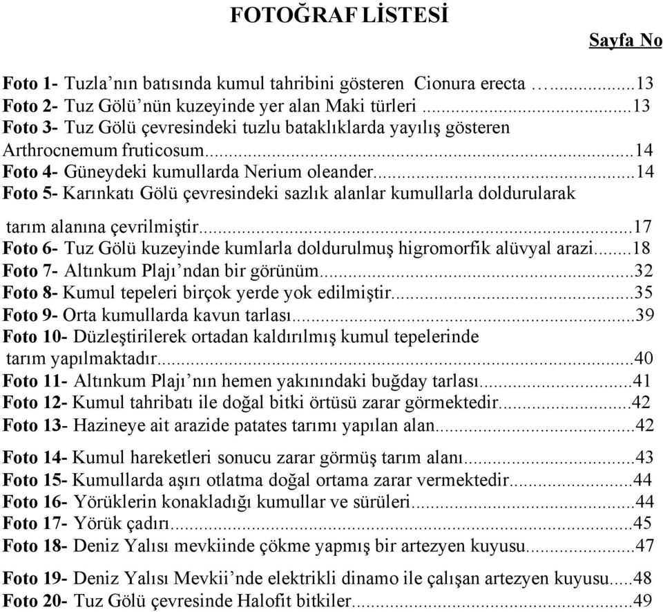 ..14 Foto 5- Karınkatı Gölü çevresindeki sazlık alanlar kumullarla doldurularak tarım alanına çevrilmiştir...17 Foto 6- Tuz Gölü kuzeyinde kumlarla doldurulmuş higromorfik alüvyal arazi.