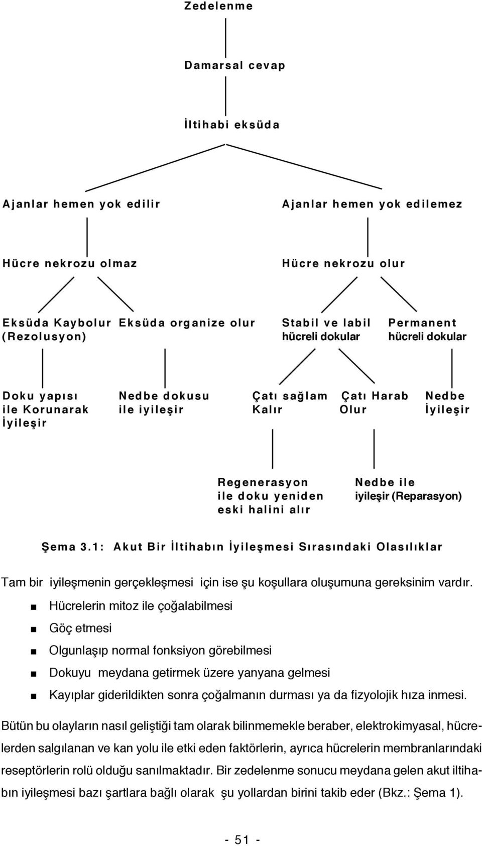 alır Nedbe ile iyileşir (Reparasyon) Şema 3.1: Akut Bir İltihabın İyileşmesi Sırasındaki Olasılıklar Tam bir iyileşmenin gerçekleşmesi için ise şu koşullara oluşumuna gereksinim vardır.