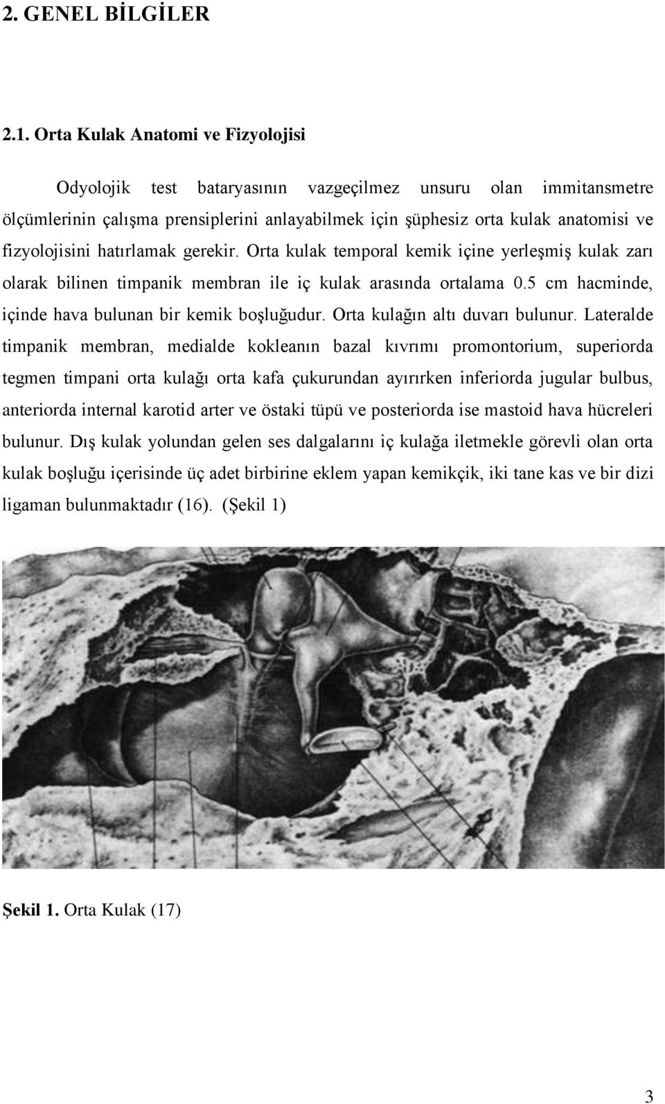 hatırlamak gerekir. Orta kulak temporal kemik içine yerleşmiş kulak zarı olarak bilinen timpanik membran ile iç kulak arasında ortalama 0.5 cm hacminde, içinde hava bulunan bir kemik boşluğudur.