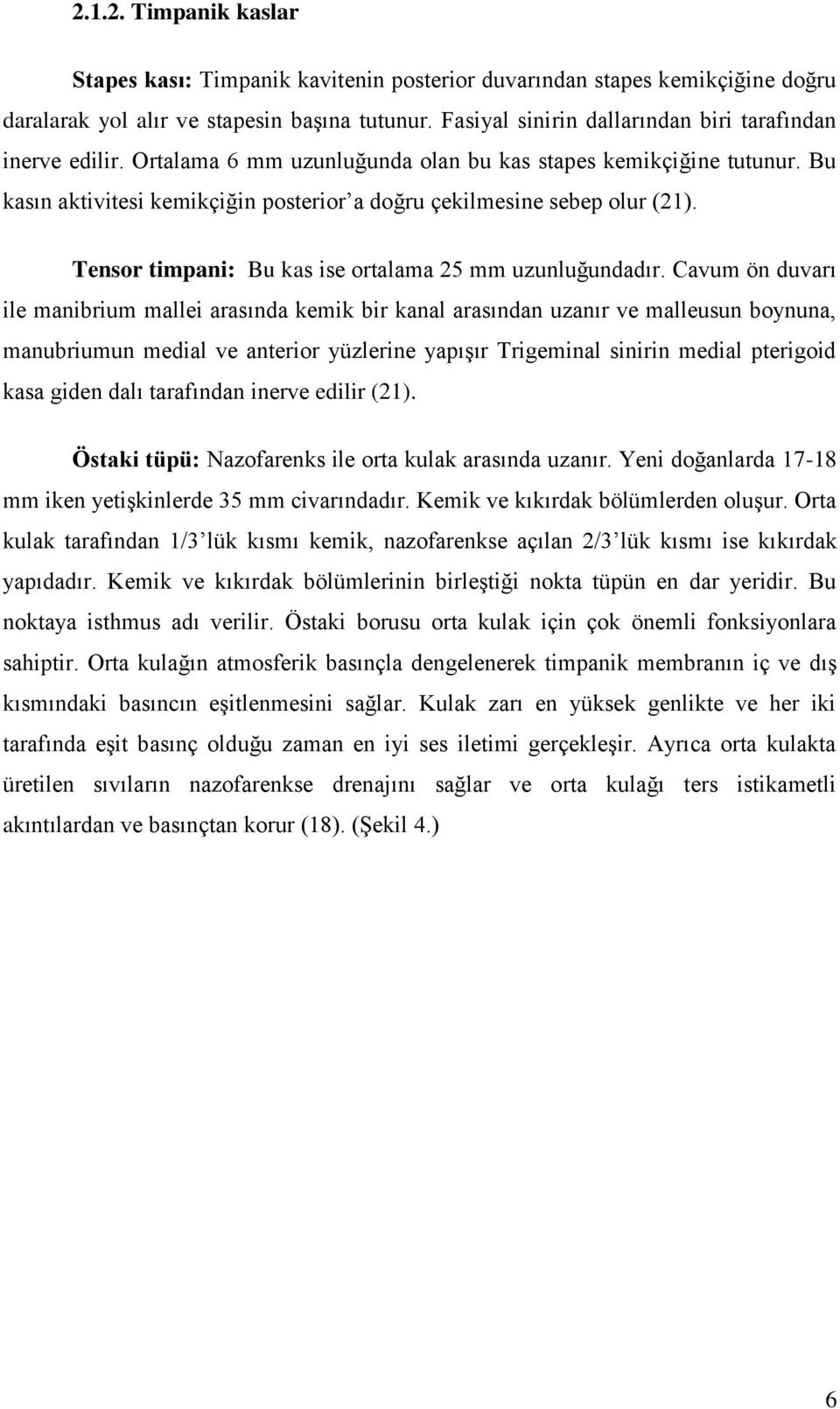 Bu kasın aktivitesi kemikçiğin posterior a doğru çekilmesine sebep olur (21). Tensor timpani: Bu kas ise ortalama 25 mm uzunluğundadır.