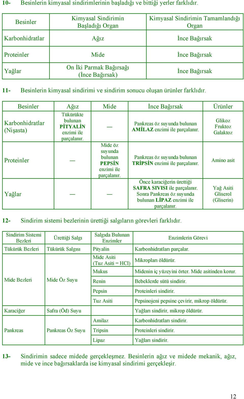 İnce Bağırsak 11- Besinlerin kimyasal sindirimi ve sindirim sonucu oluşan ürünler farklıdır.