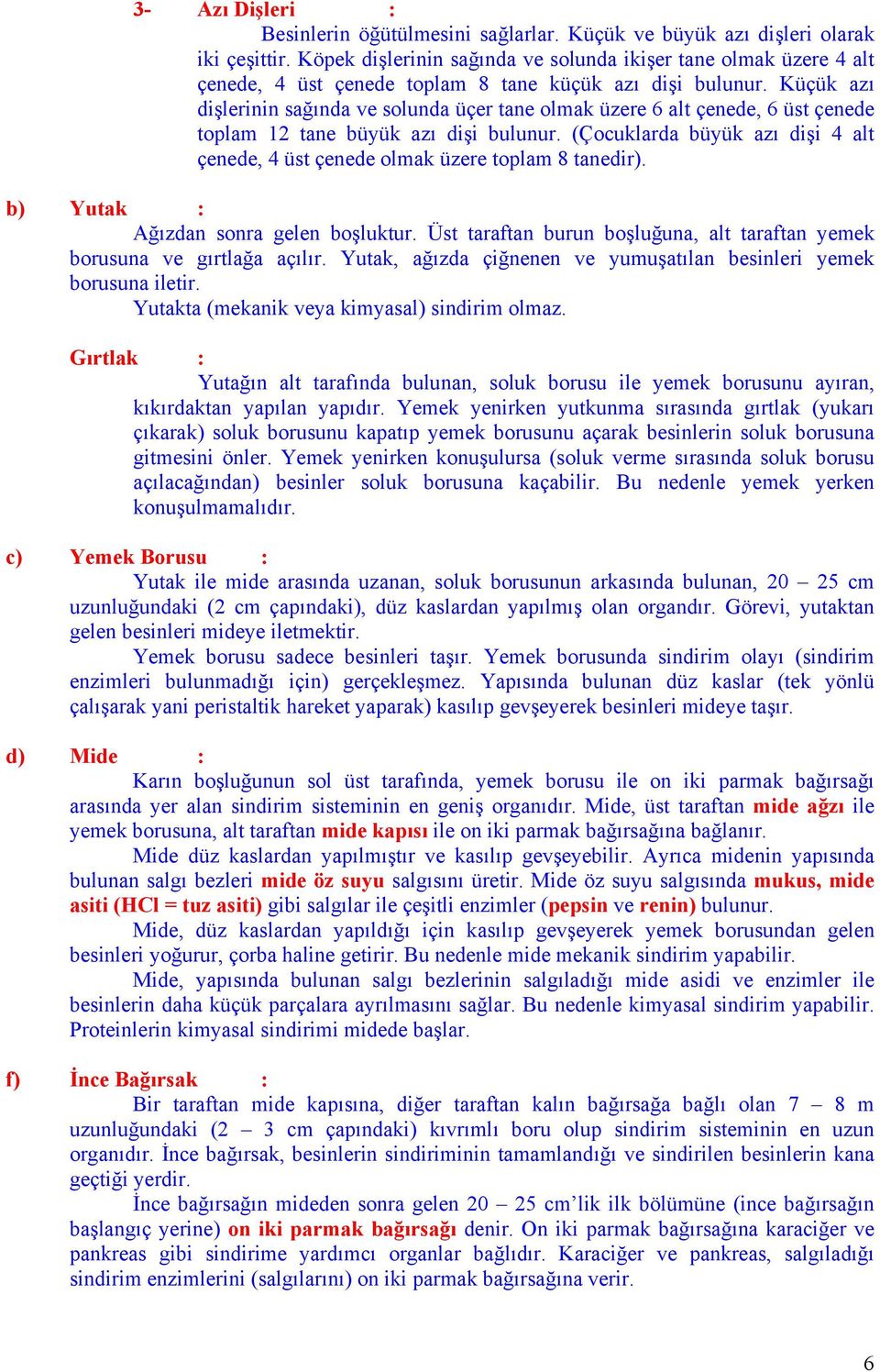 Küçük azı dişlerinin sağında ve solunda üçer tane olmak üzere 6 alt çenede, 6 üst çenede toplam 12 tane büyük azı dişi bulunur.