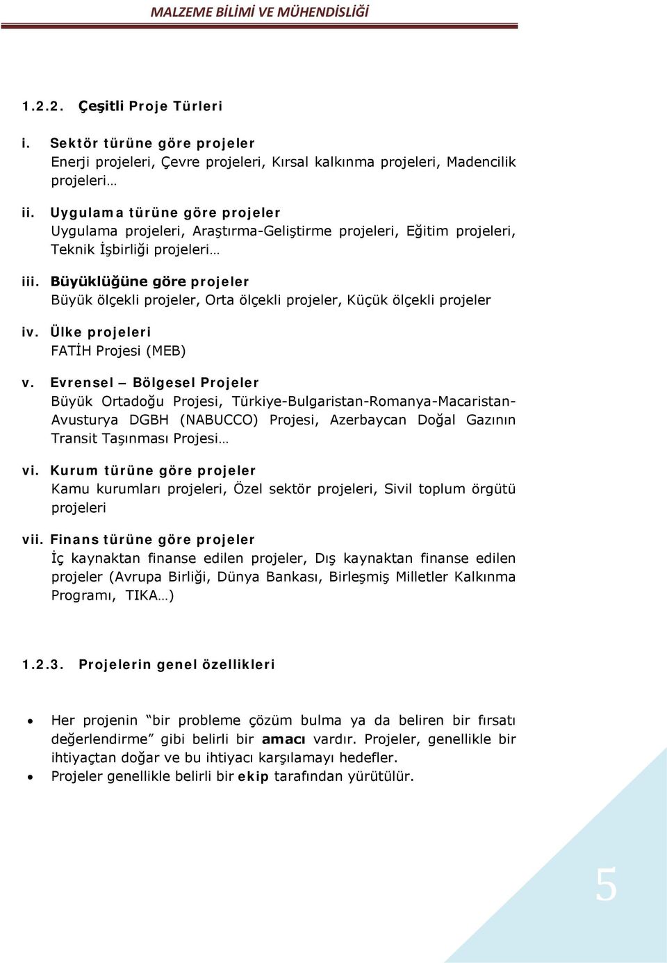 Büyüklüğüne göre projeler Büyük ölçekli projeler, Orta ölçekli projeler, Küçük ölçekli projeler iv. Ülke projeleri FATİH Projesi (MEB) v.