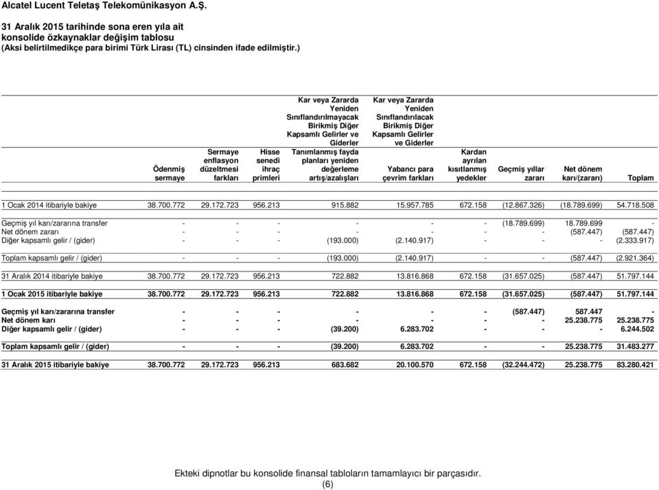 Gelirler ve Giderler Yabancı para çevrim farkları Kardan ayrılan kısıtlanmış yedekler Geçmiş yıllar zararı Net dönem karı/(zararı) Toplam 1 Ocak 2014 itibariyle bakiye 38.700.772 29.172.723 956.