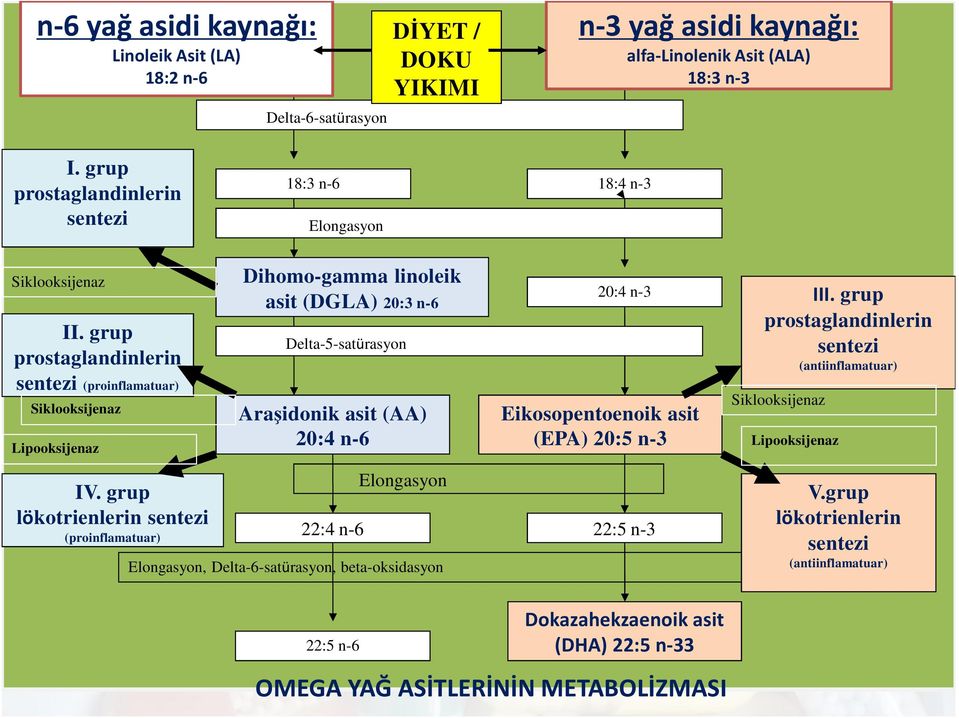 grup prostaglandinlerin sentezi (proinflamatuar) Siklooksijenaz Delta-5-satürasyon IV. grup lökotrienlerin sentezi (proinflamatuar) III.