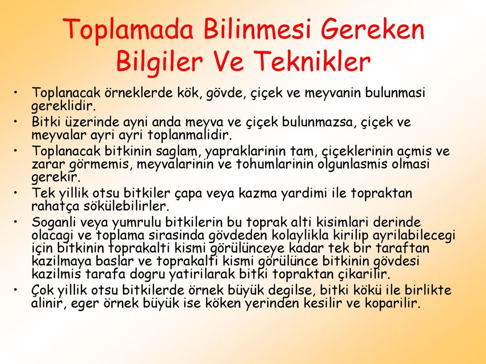 Toplanacak bitkinin saglam, yapraklarinin tam, çiçeklerinin açmis ve zarar görmemis, meyvalarinin ve tohumlarinin olgunlasmis olmasi gerekir.