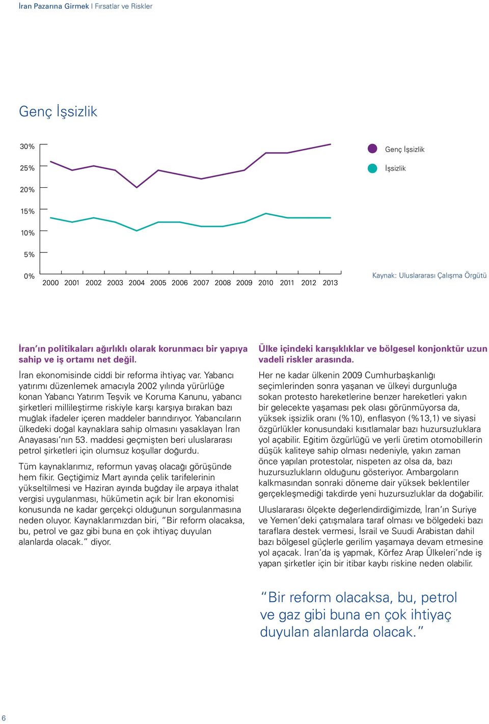 Yabancı yatırımı düzenlemek amacıyla 2002 yılında yürürlüğe konan Yabancı Yatırım Teşvik ve Koruma Kanunu, yabancı şirketleri millileştirme riskiyle karşı karşıya bırakan bazı muğlak ifadeler içeren