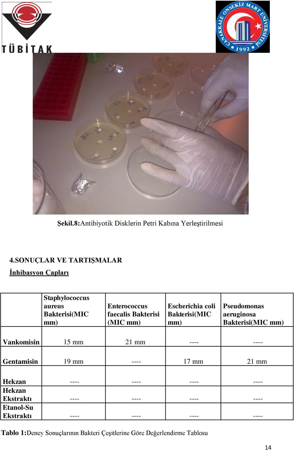 Escherichia coli Bakterisi(MIC mm) Pseudomonas aeruginosa Bakterisi(MIC mm) Vankomisin 15 mm 21 mm ---- ---- Gentamisin 19 mm