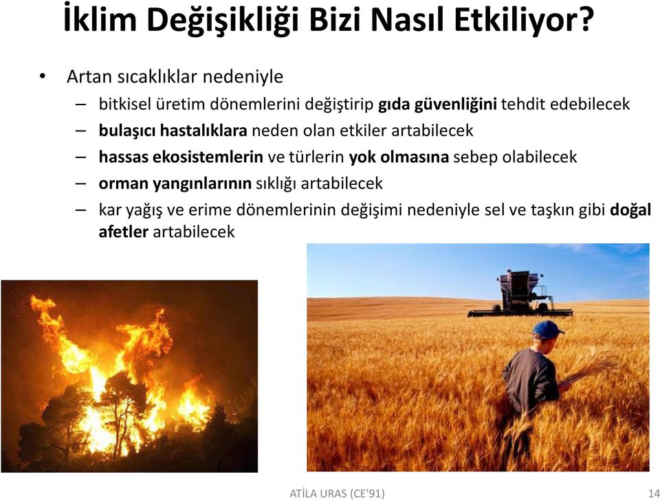 edebilecek bulaşıcı hastalıklara neden olan etkiler artabilecek hassas ekosistemlerin ve türlerin