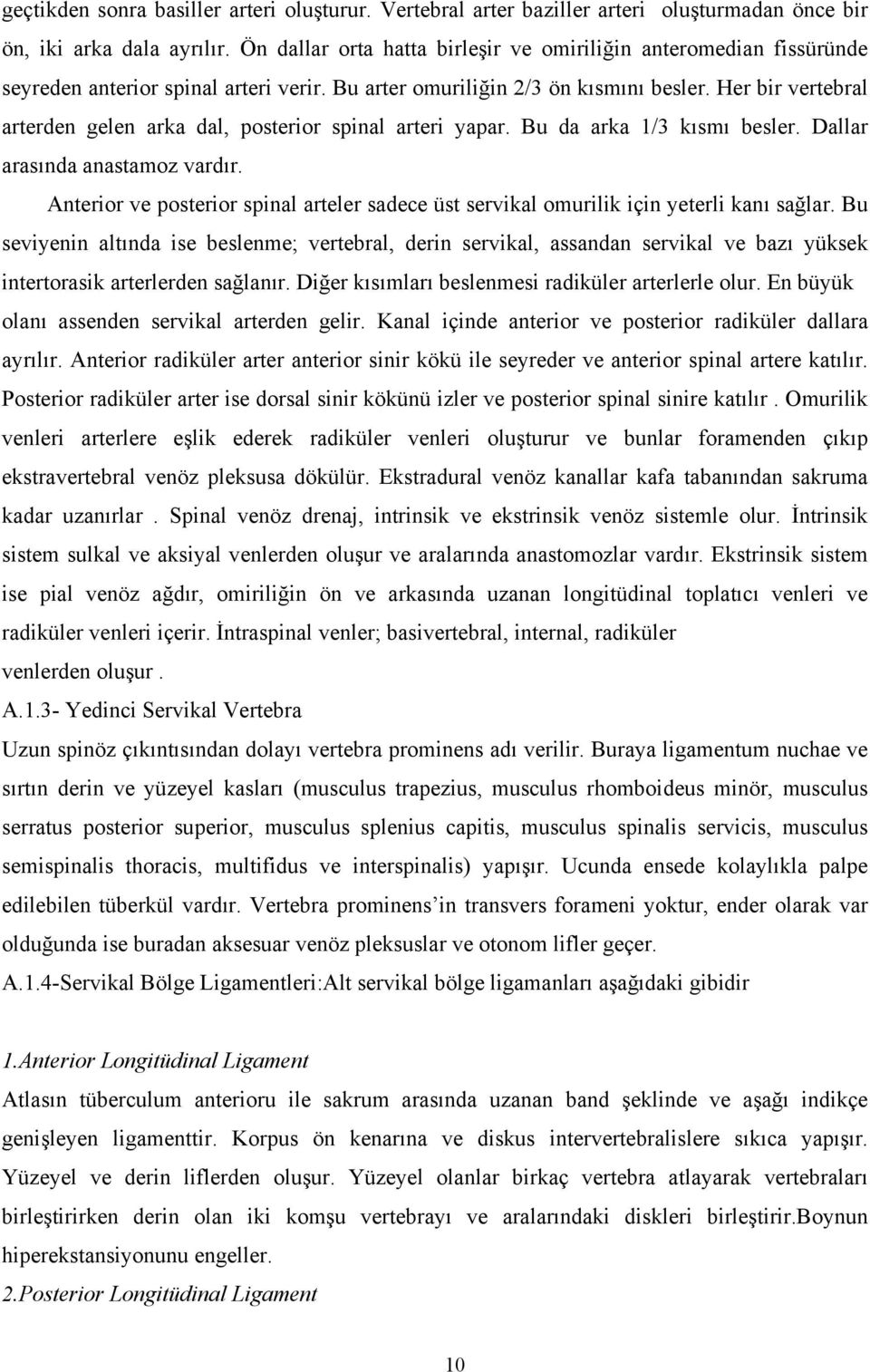 Her bir vertebral arterden gelen arka dal, posterior spinal arteri yapar. Bu da arka 1/3 kısmı besler. Dallar arasında anastamoz vardır.