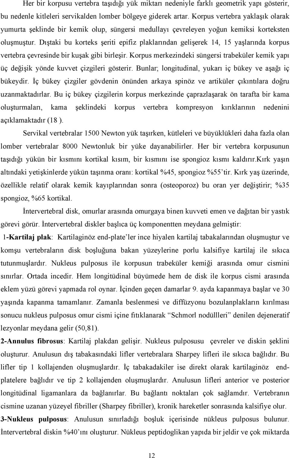 Dıştaki bu korteks şeriti epifiz plaklarından gelişerek 14, 15 yaşlarında korpus vertebra çevresinde bir kuşak gibi birleşir.