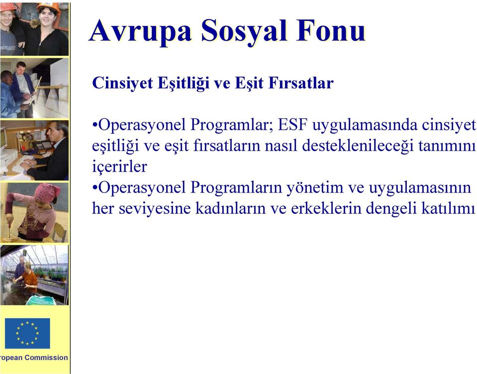 desteklenileceği tanımını içerirler Operasyonel Programların