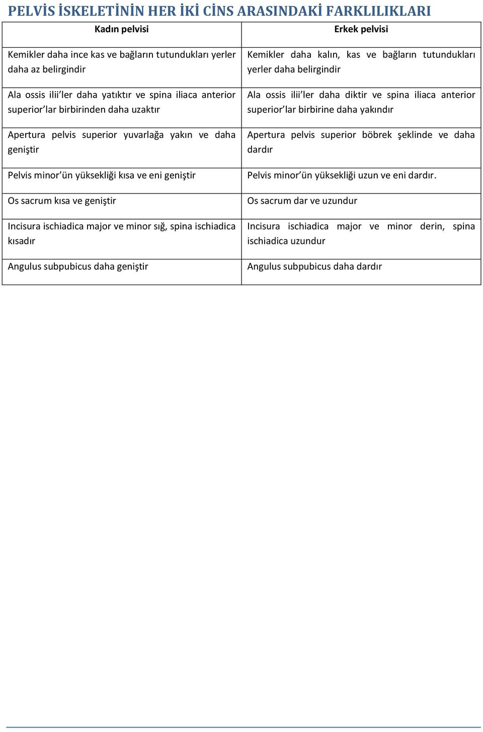 Incisura ischiadica major ve minor sığ, spina ischiadica kısadır Angulus subpubicus daha geniştir Kemikler daha kalın, kas ve bağların tutundukları yerler daha belirgindir Ala ossis ilii ler daha