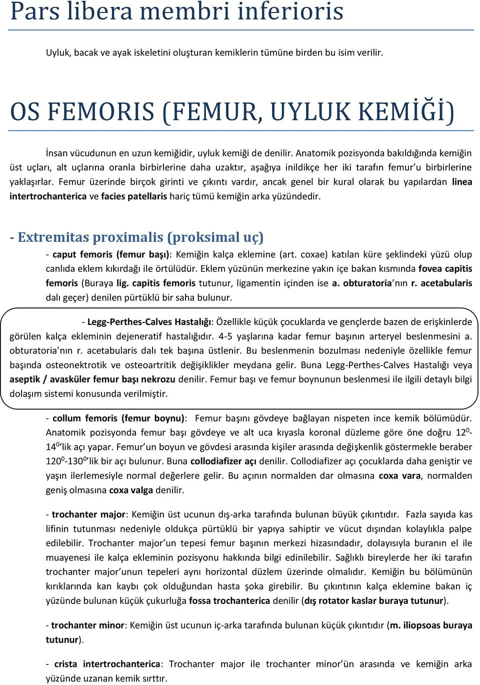 Anatomik pozisyonda bakıldığında kemiğin üst uçları, alt uçlarına oranla birbirlerine daha uzaktır, aşağıya inildikçe her iki tarafın femur u birbirlerine yaklaşırlar.