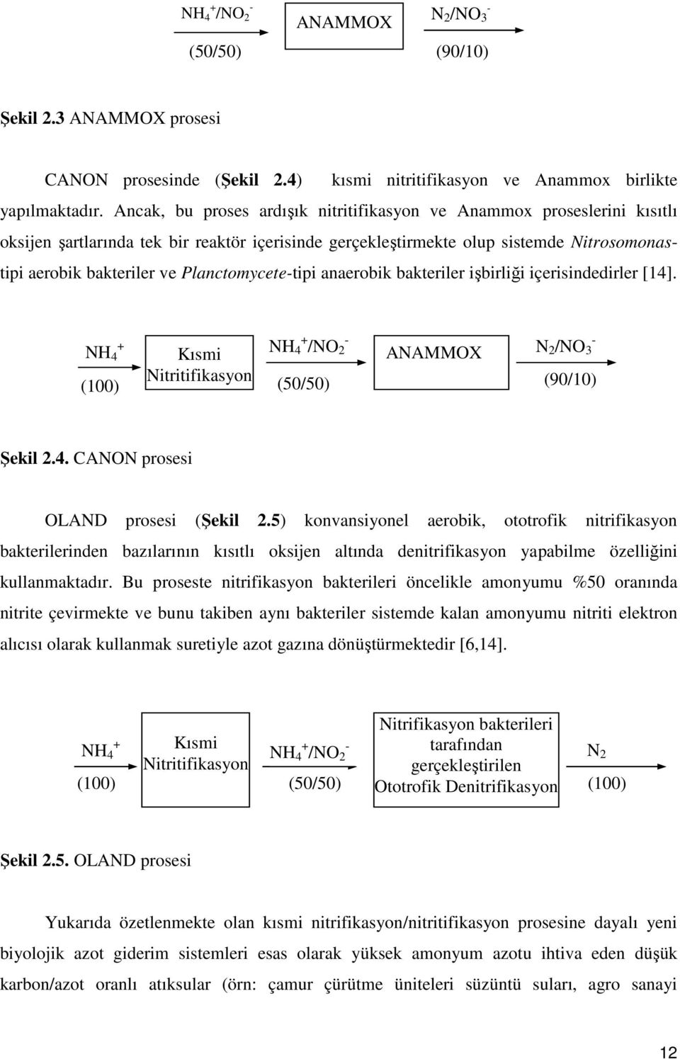 Planctomycete-tipi anaerobik bakteriler işbirliği içerisindedirler [14]. NH 4 + (100) Kısmi Nitritifikasyon NH 4 + /NO 2 - (50/50) ANAMMOX N 2 /NO 3 - (90/10) Şekil 2.4. CANON prosesi OLAND prosesi (Şekil 2.