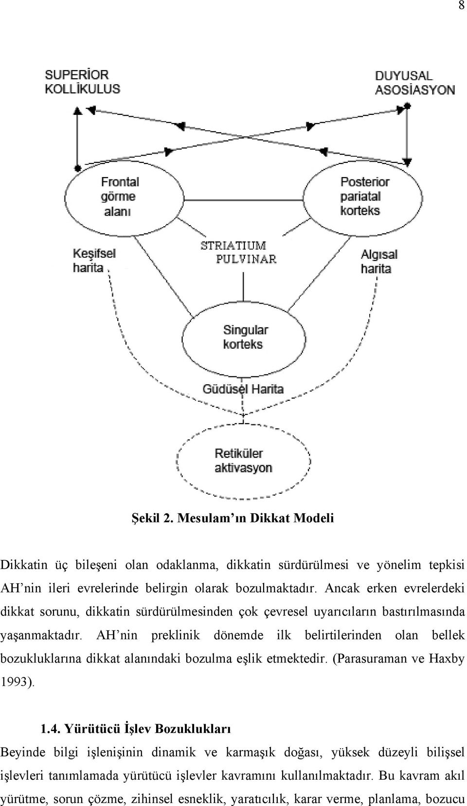 AH nin preklinik dönemde ilk belirtilerinden olan bellek bozukluklarına dikkat alanındaki bozulma eşlik etmektedir. (Parasuraman ve Haxby 1993). 1.4.