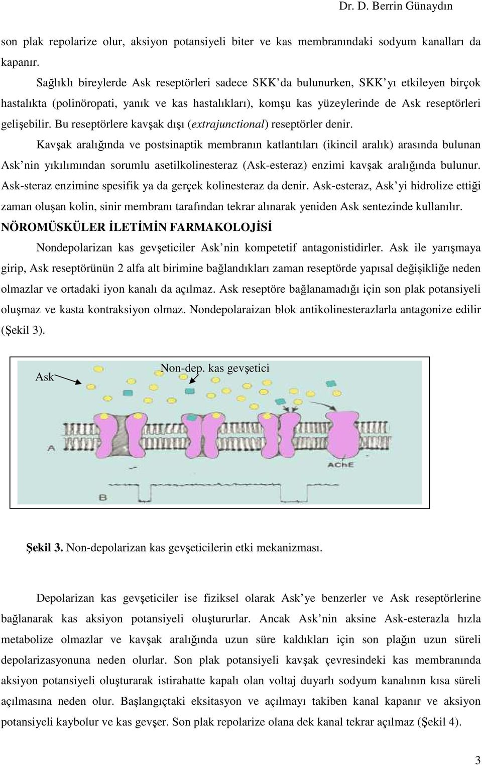 Bu reseptörlere kavşak dışı (extrajunctional) reseptörler denir.