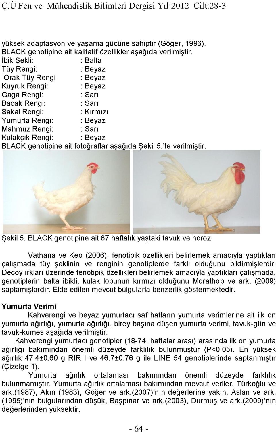 Beyaz BLACK genotipine ait fotoğraflar aşağıda Şekil 5.