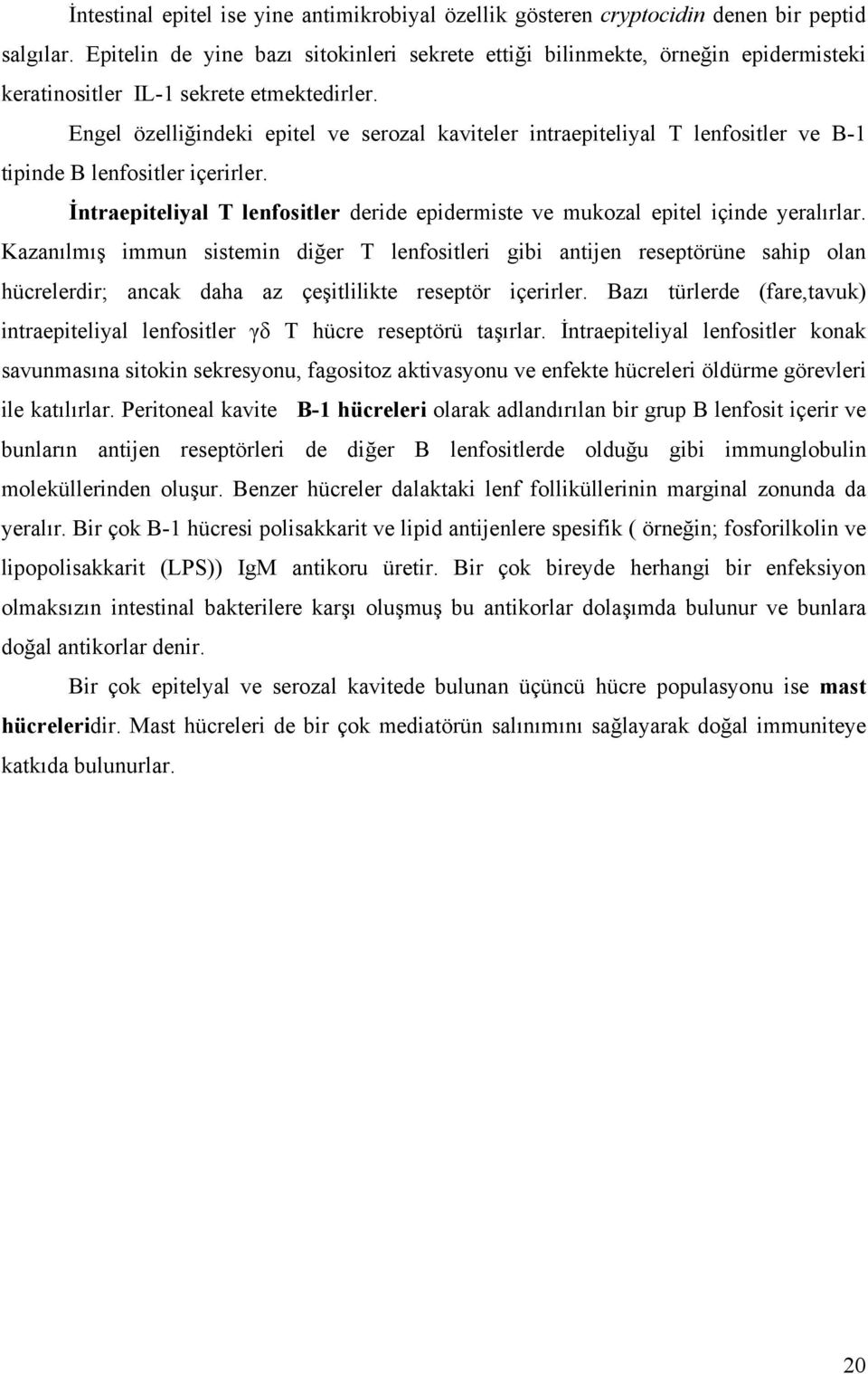 Engel özelliğindeki epitel ve serozal kaviteler intraepiteliyal T lenfositler ve B-1 tipinde B lenfositler içerirler.