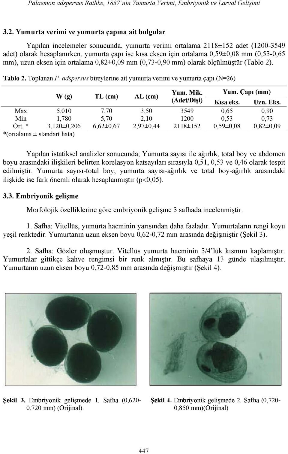 0,59±0,08 mm (0,53-0,65 mm), uzun eksen için ortalama 0,82±0,09 mm (0,73-0,90 mm) olarak ölçülmüştür (Tablo 2). Tablo 2. Toplanan P.