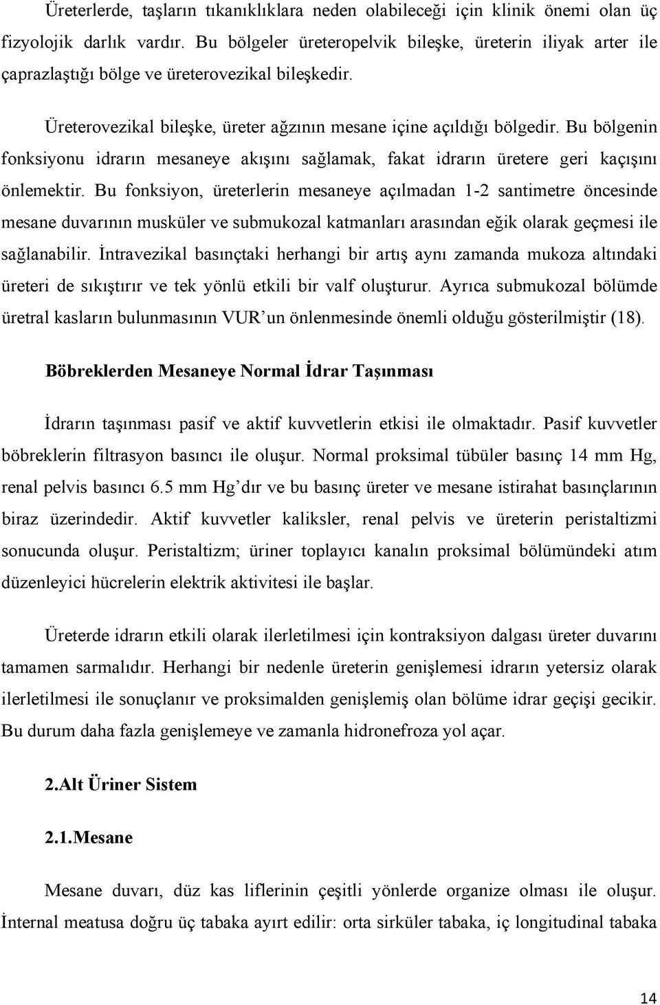 Bu bölgenin fonksiyonu idrarın mesaneye akışını sağlamak, fakat idrarın üretere geri kaçışını önlemektir.