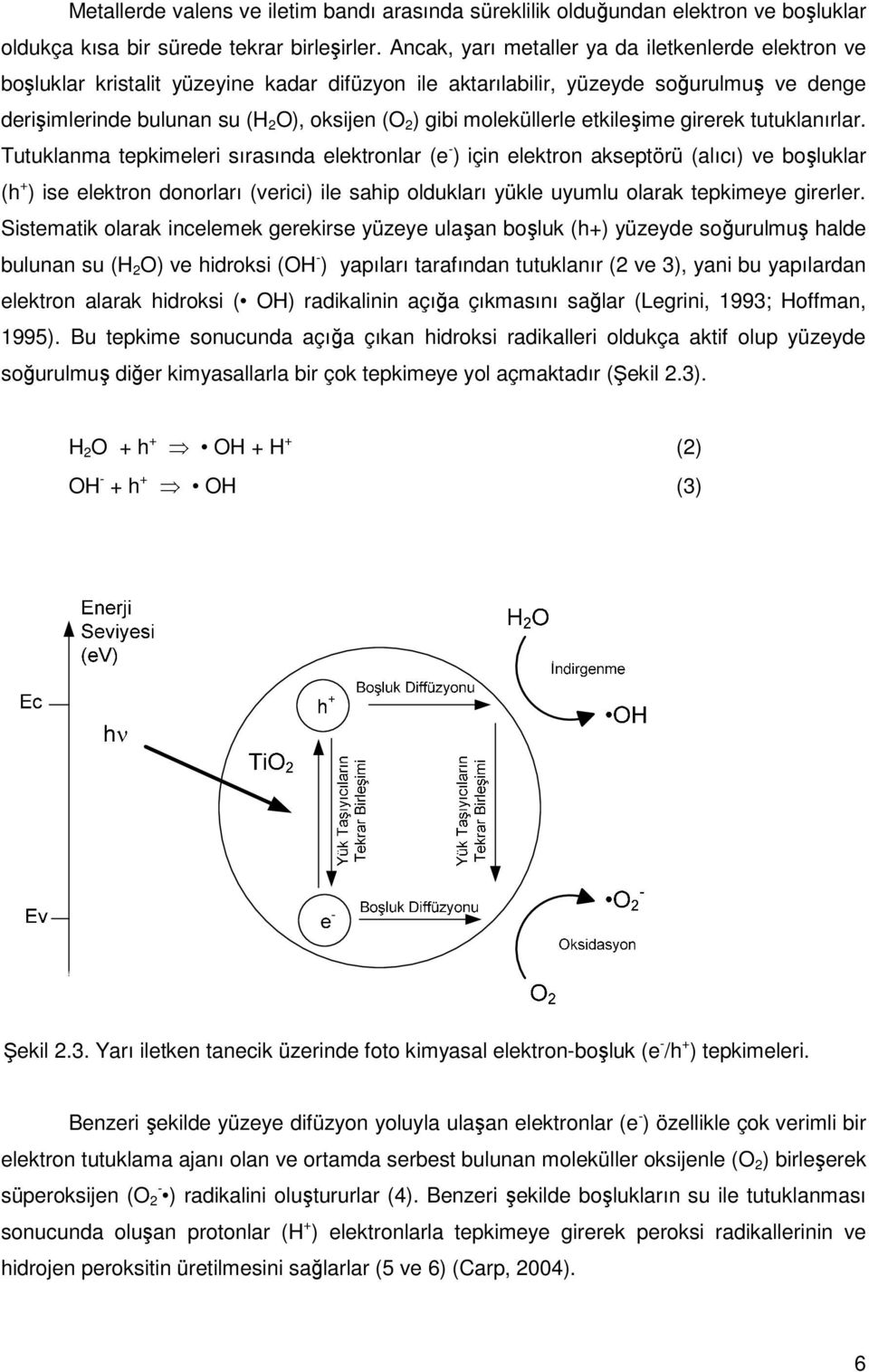 moleküllerle etkileşime girerek tutuklanırlar.