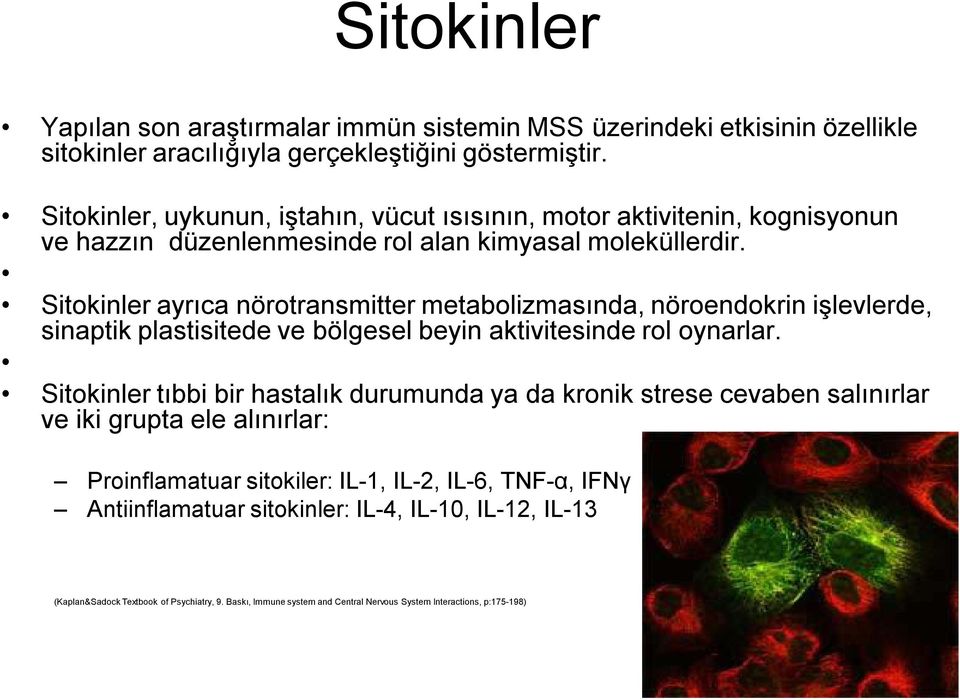 Sitokinler ayrıca nörotransmitter metabolizmasında, nöroendokrin işlevlerde, sinaptik plastisitede ve bölgesel beyin aktivitesinde rol oynarlar.