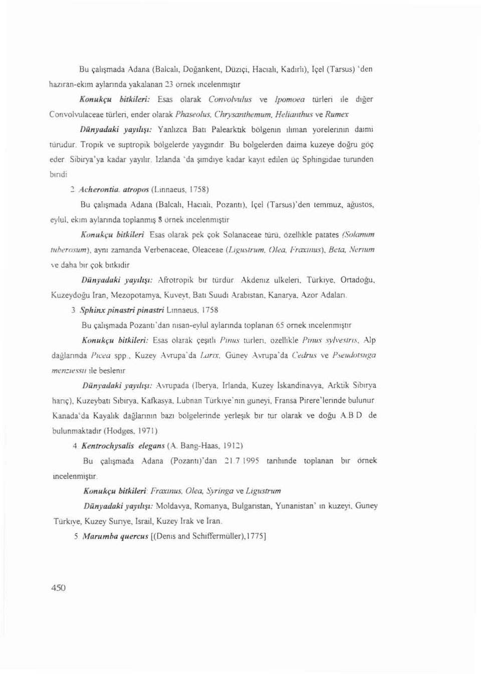 leri, ender olarak Phaseolus, Chrysanıhemum, Helianthus ve Rumex Dünyadaki yayılı ş ı: Yanhzca Batı Palearktık bölge nın ılım an yorel ennın daı mi turudur.