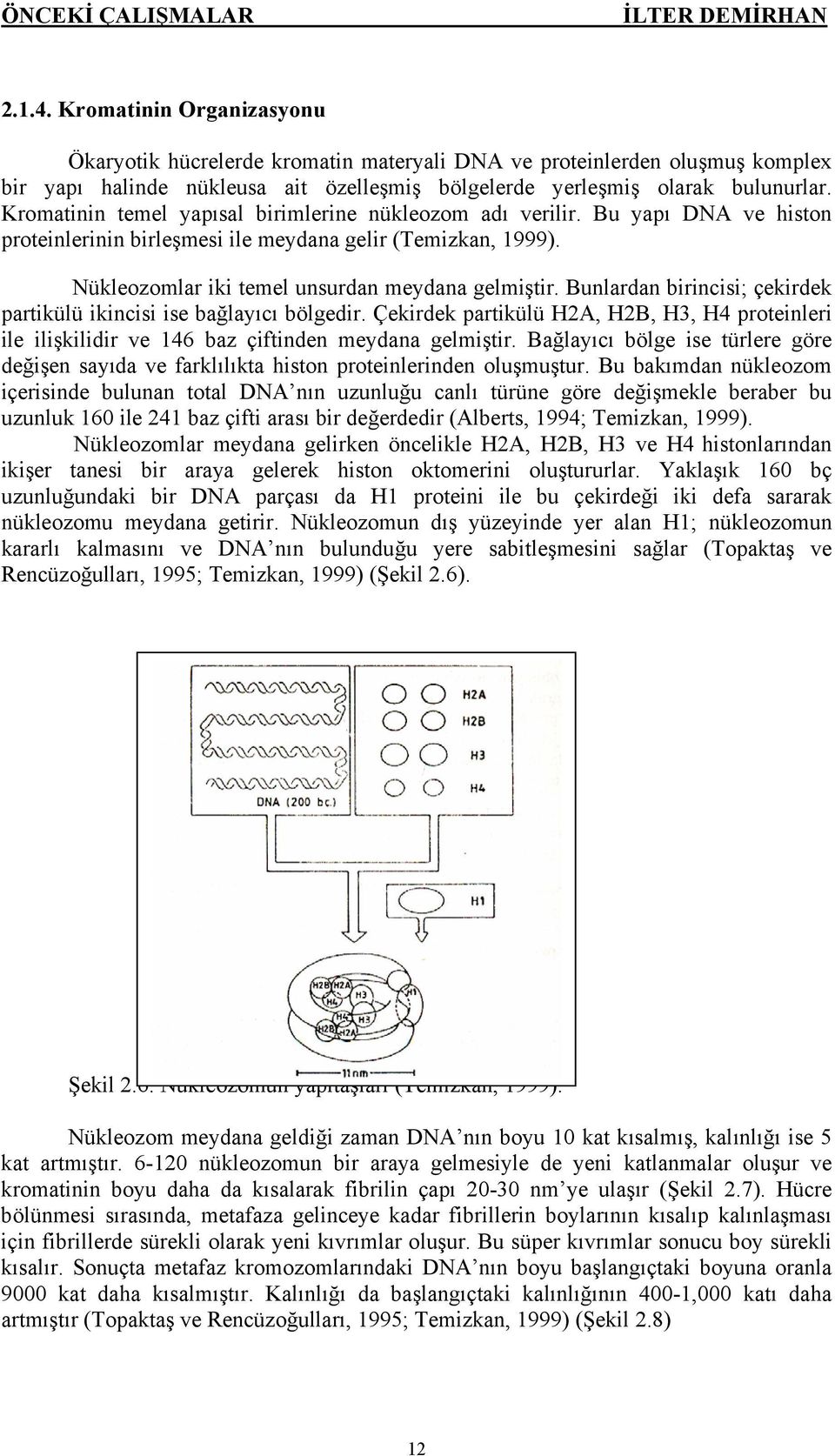 Kromatinin temel yapısal birimlerine nükleozom adı verilir. Bu yapı DNA ve histon proteinlerinin birleşmesi ile meydana gelir (Temizkan, 1999). Nükleozomlar iki temel unsurdan meydana gelmiştir.