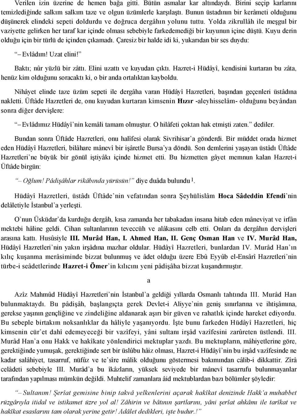 Yold zikrullâh ile megul bir vziyette gelirken her trf kr içinde olms sebebiyle frkedemedi'i bir kuyunun içine dütü. Kuyu derin oldu'u için bir türlü de içinden çkmd.