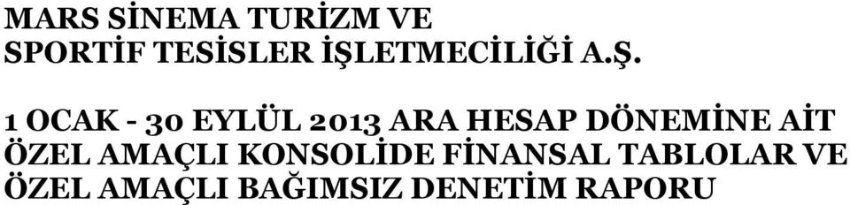 HESAP DÖNEMİNE AİT ÖZEL AMAÇLI KONSOLİDE