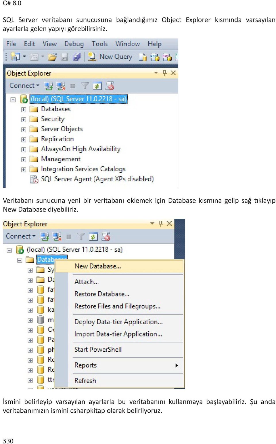 Veritabanı sunucuna yeni bir veritabanı eklemek için Database kısmına gelip sağ tıklayıp New