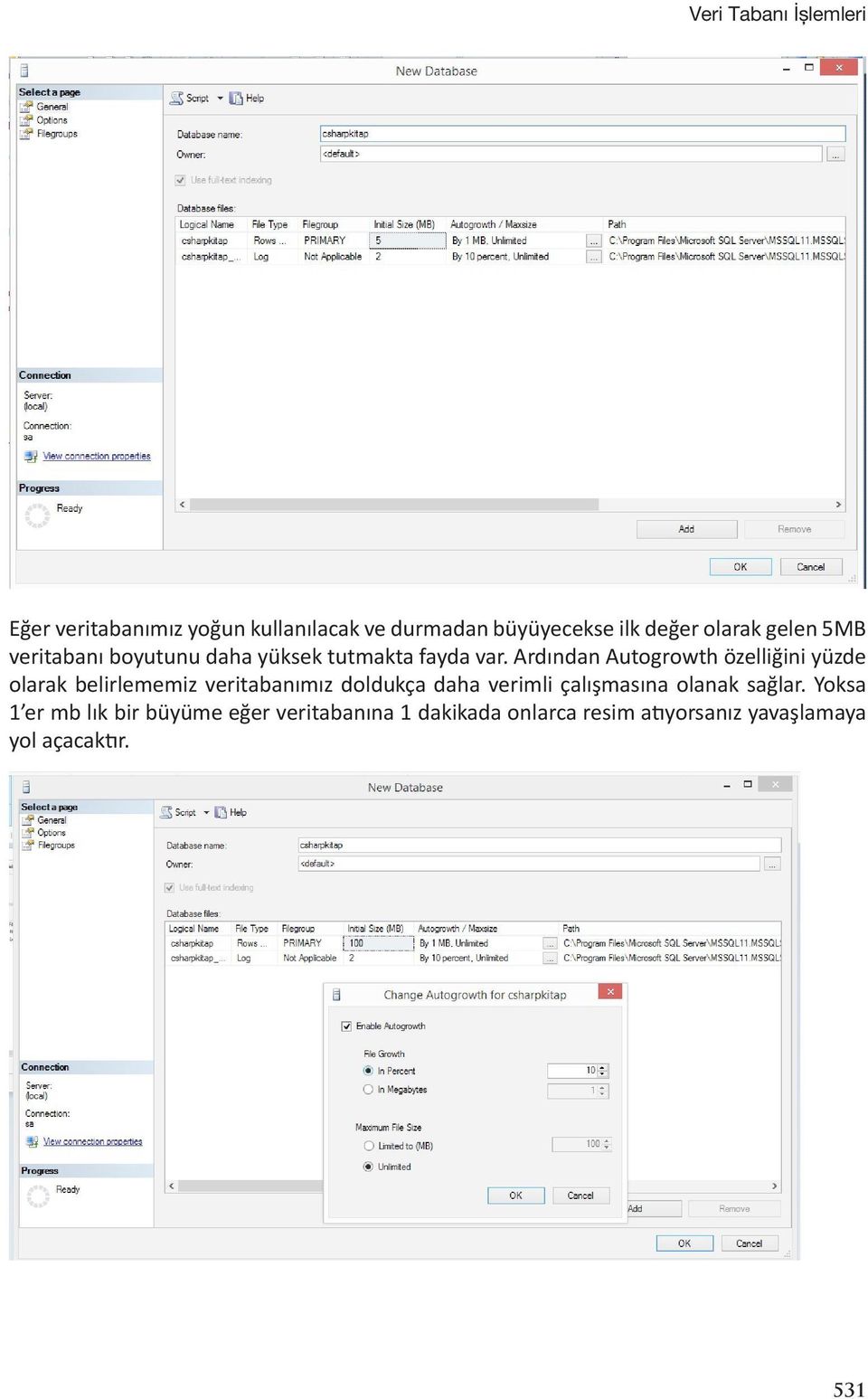 Ardından Autogrowth özelliğini yüzde olarak belirlememiz veritabanımız doldukça daha verimli