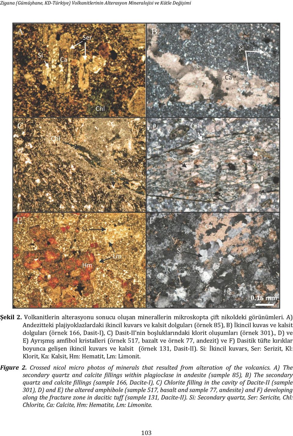 301)., D) ve E) Ayrışmış amfibol kristalleri (örnek 517, bazalt ve örnek 77, andezit) ve F) Dasitik tüfte kırıklar boyunca gelişen ikincil kuvars ve kalsit (örnek 131, Dasit-II).