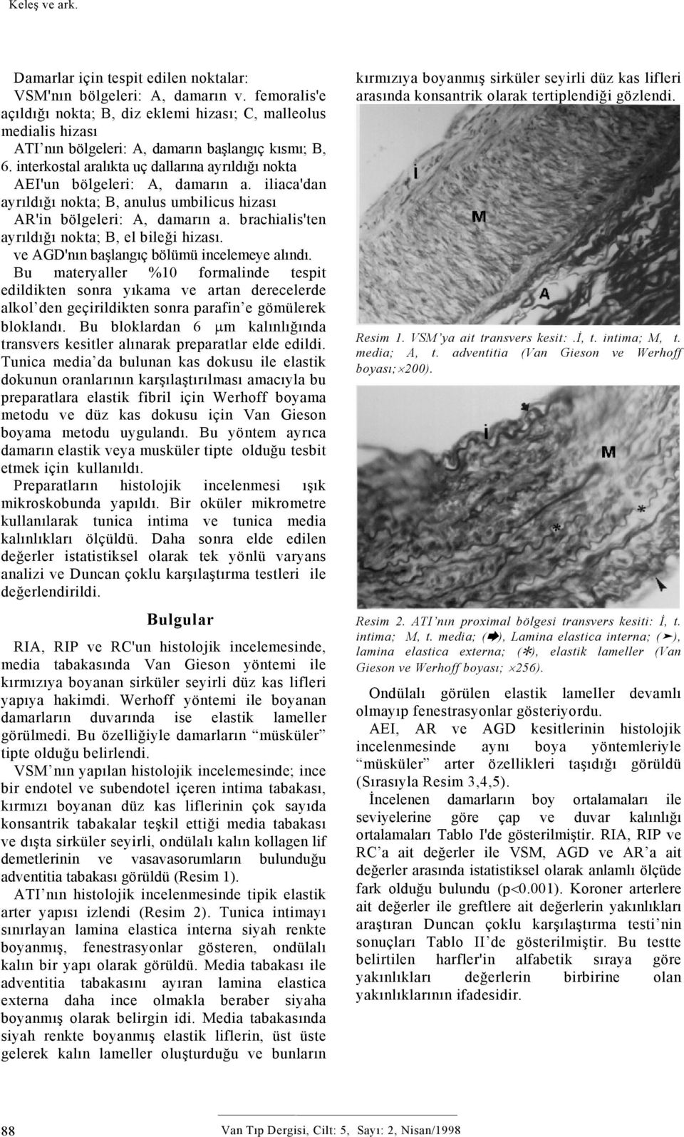 interkostal aralıkta uç dallarına ayrıldığı nokta AEI'un bölgeleri: A, damarın a. iliaca'dan ayrıldığı nokta; B, anulus umbilicus hizası AR'in bölgeleri: A, damarın a.