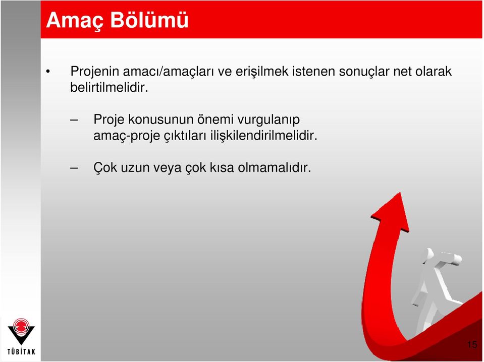 Proje konusunun önemi vurgulanıp amaç-proje