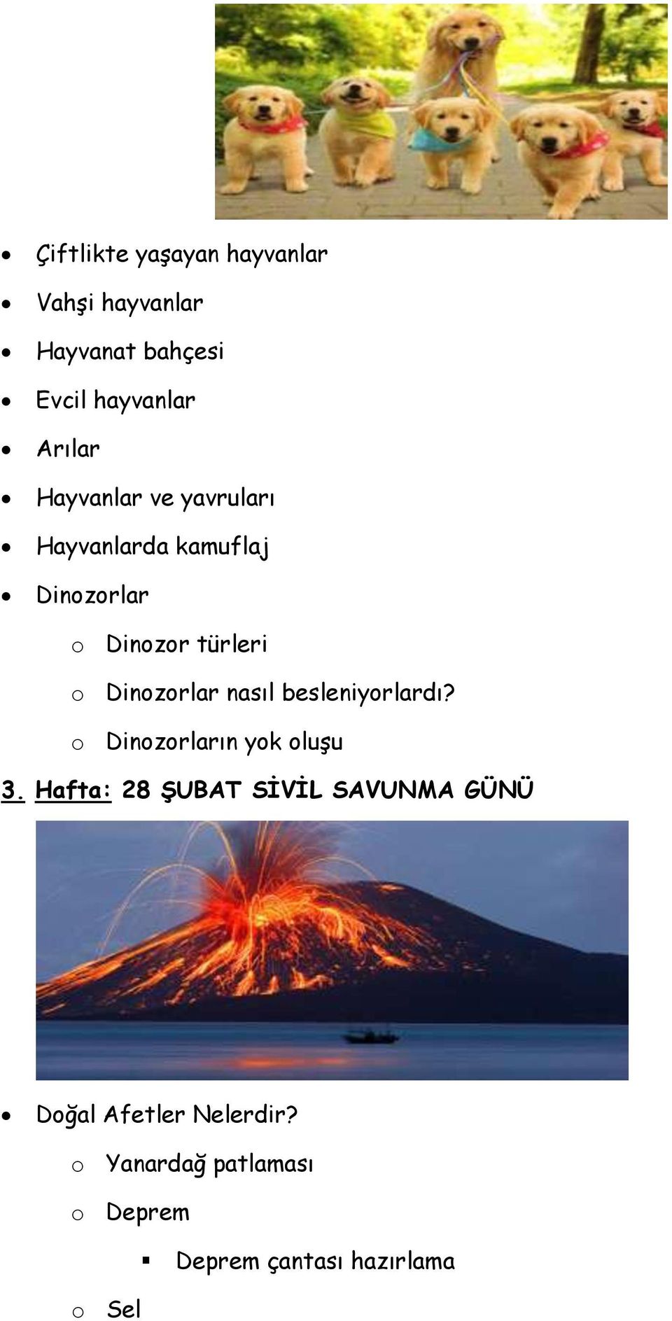 Dinozorlar nasıl besleniyorlardı? o Dinozorların yok oluşu 3.