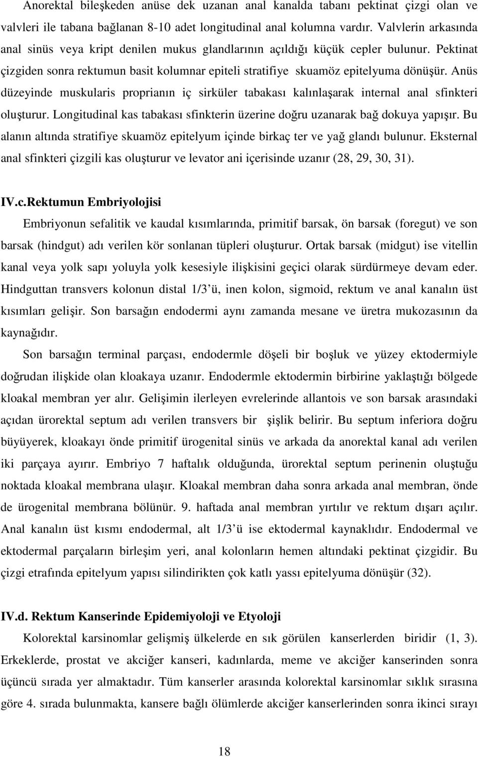 Anüs düzeyinde muskularis proprianın iç sirküler tabakası kalınlaşarak internal anal sfinkteri oluşturur. Longitudinal kas tabakası sfinkterin üzerine doğru uzanarak bağ dokuya yapışır.