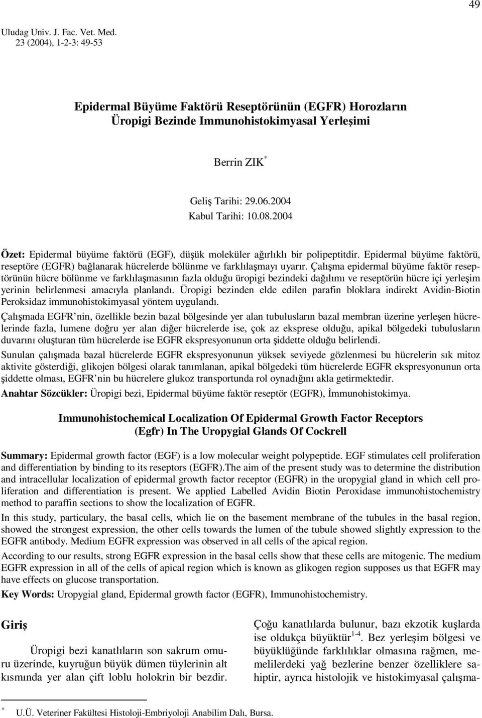 Epidermal büyüme faktörü, reseptöre (EGFR) bağlanarak hücrelerde bölünme ve farklılaşmayı uyarır.