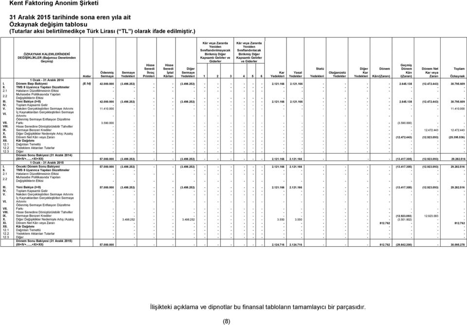 Sınıflandırılacak Birikmiş Diğer Kapsamlı Gelirler ve Giderler Hisse Senedi Hisse Senedi Diğer Statü Diğer Dönem Geçmiş Dönem Dönem Net Toplam Notlar Ödenmiş Sermaye Sermaye Yedekleri İhraç Primleri