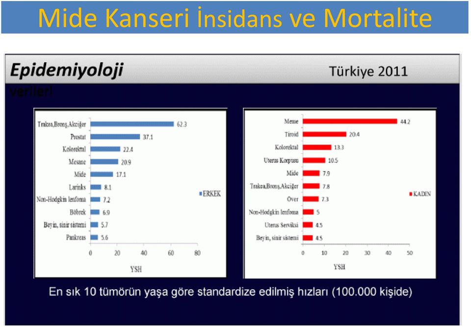 İnsidans