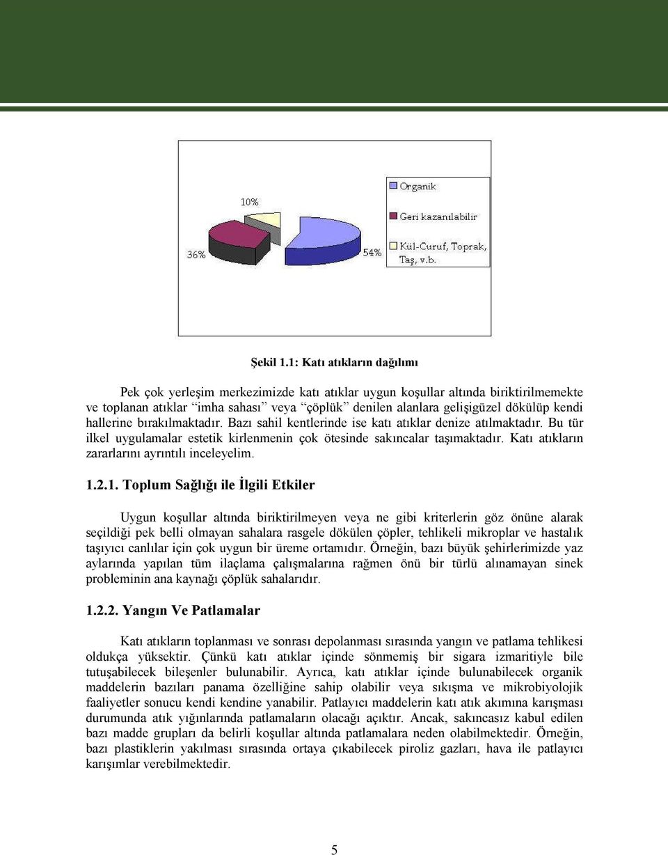 hallerine bırakılmaktadır. Bazı sahil kentlerinde ise katı atıklar denize atılmaktadır. Bu tür ilkel uygulamalar estetik kirlenmenin çok ötesinde sakıncalar taşımaktadır.