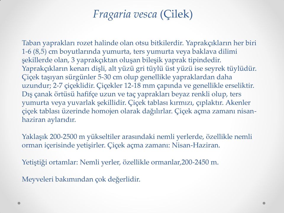 Yaprakçıkların kenarı dişli, alt yüzü gri tüylü üst yüzü ise seyrek tüylüdür. Çiçek taşıyan sürgünler 5-30 cm olup genellikle yapraklardan daha uzundur; 2-7 çiçeklidir.