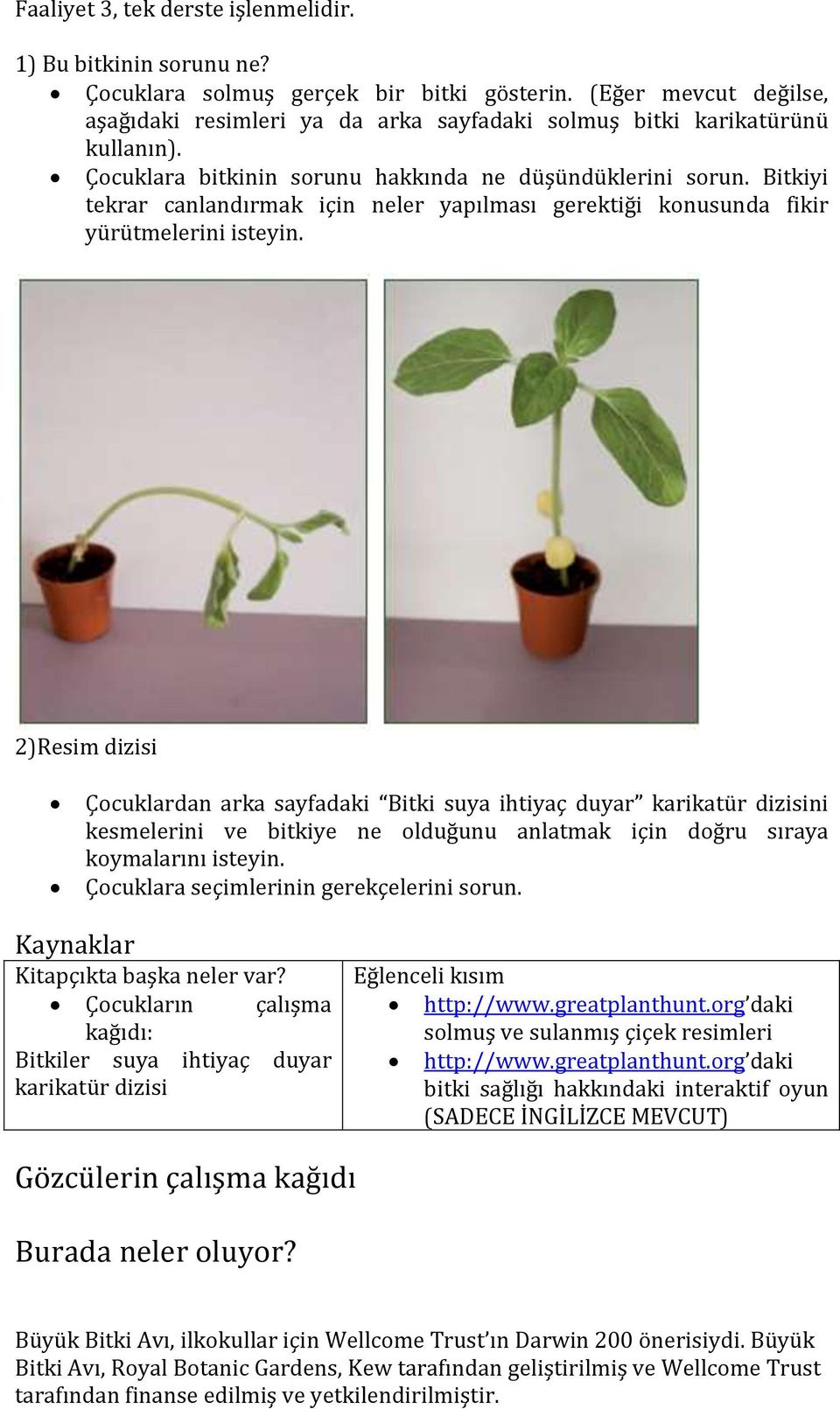 Bitkiyi tekrar canlandırmak için neler yapılması gerektiği konusunda fikir yürütmelerini isteyin.