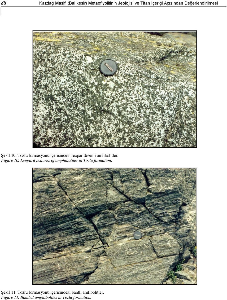 Figure 10. Leopard textures of amphibolites in Tozlu formation. Şekil 11.