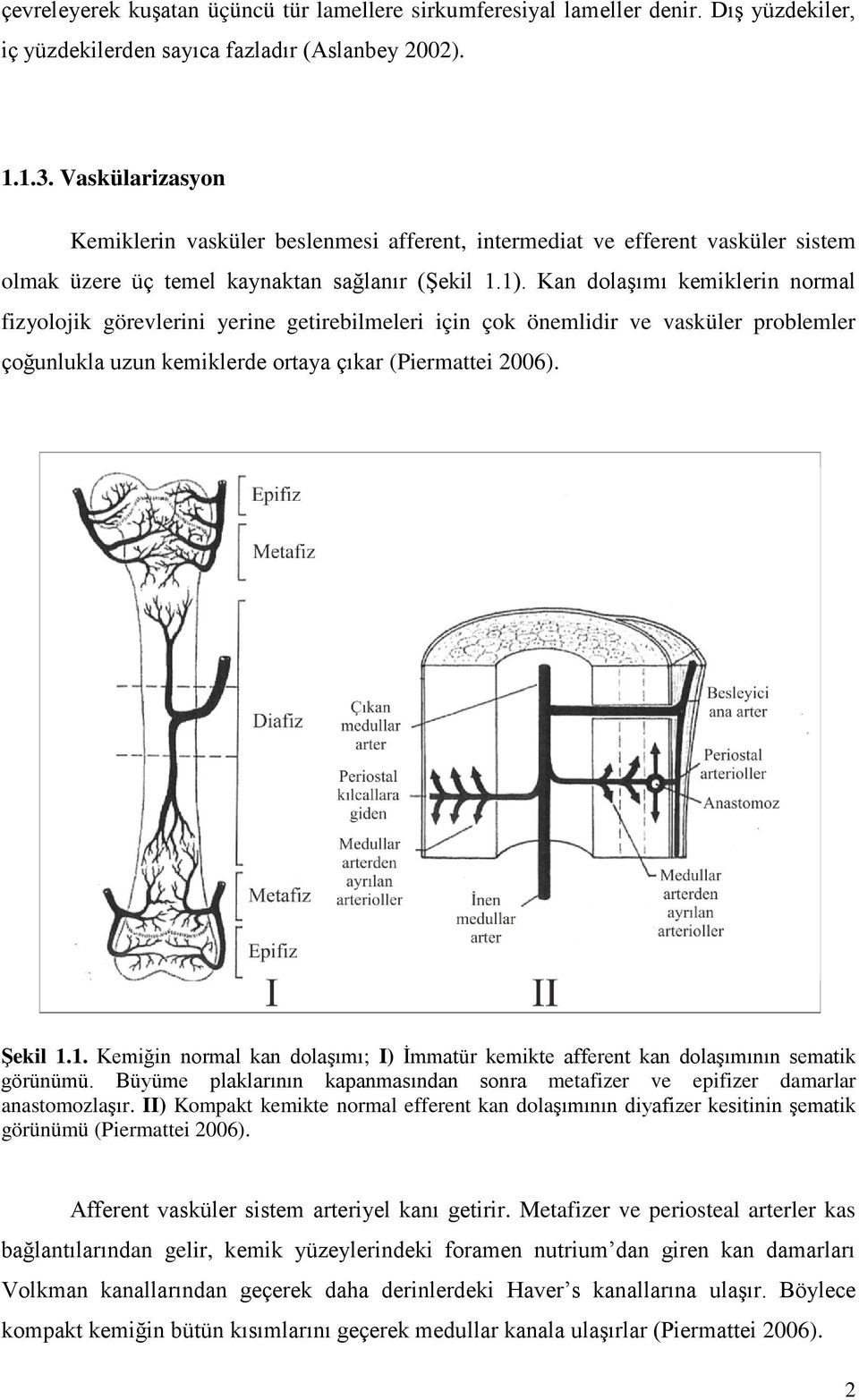 Kan dolaşımı kemiklerin normal fizyolojik görevlerini yerine getirebilmeleri için çok önemlidir ve vasküler problemler çoğunlukla uzun kemiklerde ortaya çıkar (Piermattei 2006). Şekil 1.