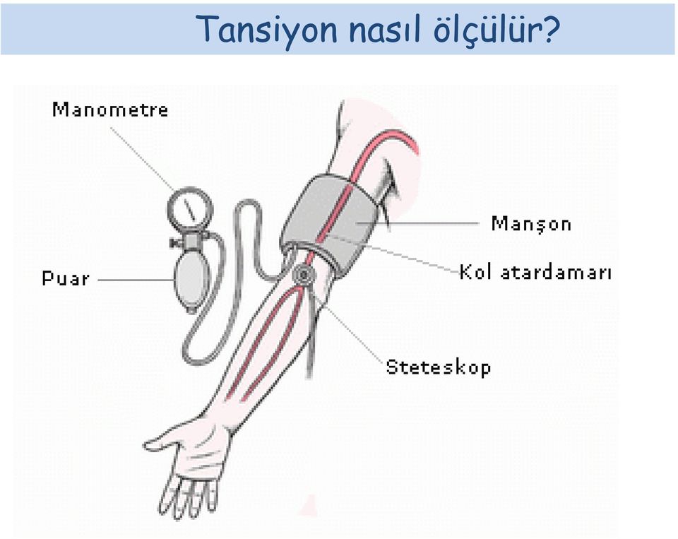 ölçülür?