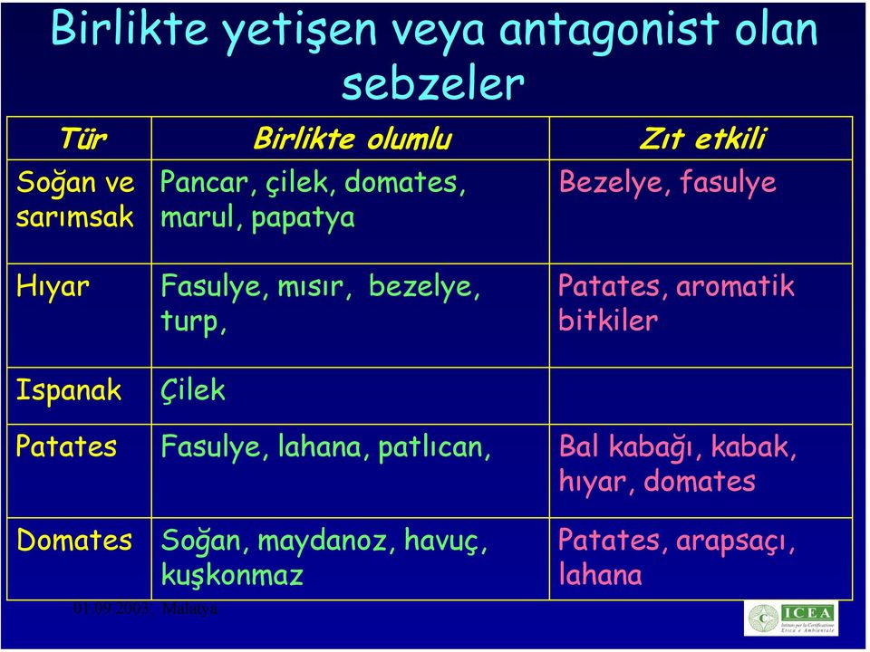 Fasulye, lahana, patlıcan, Zıt etkili Bezelye, fasulye Patates, aromatik bitkiler Bal