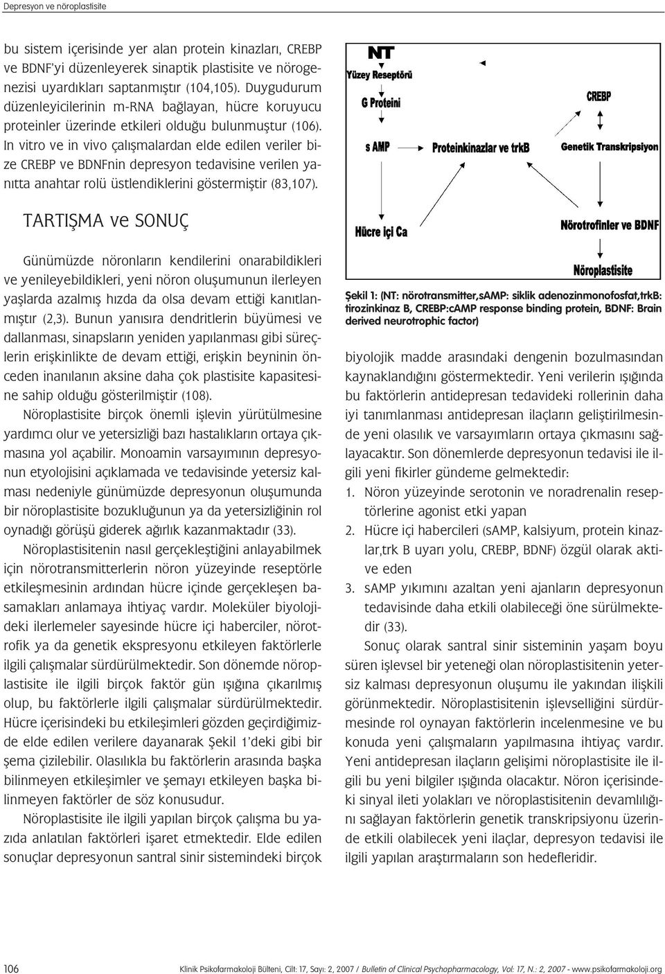 In vitro ve in vivo çal flmalardan elde edilen veriler bize CREBP ve BDNFnin depresyon tedavisine verilen yan tta anahtar rolü üstlendiklerini göstermifltir (83,107).