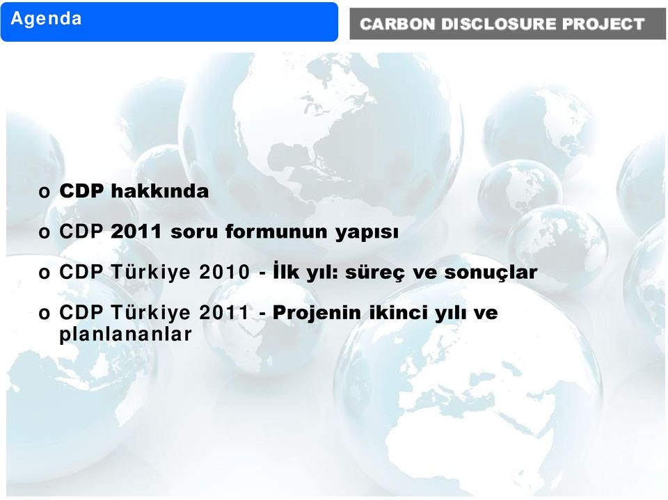 İlk yıl: süreç ve sonuçlar o CDP